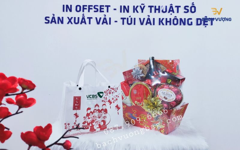 Mẫu túi vải không dệt dựng quà mới